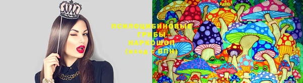 прущая мука Белоозёрский
