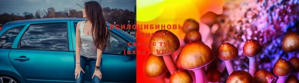 герыч Бронницы