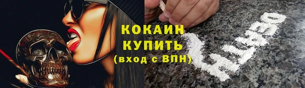 Альфа ПВП Верея