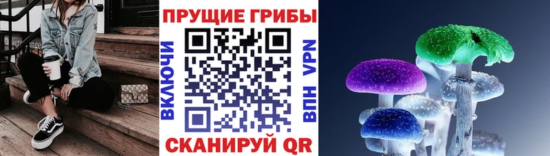 Псилоцибиновые грибы ЛСД  сколько стоит  blacksprut   Верещагино 